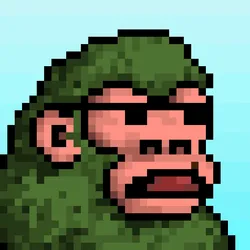 Kong APE #570