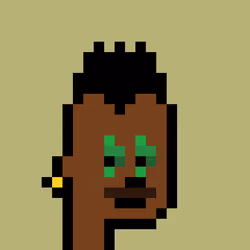 4204