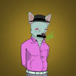 24