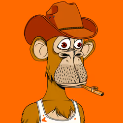 Orang Ape #93 🧡