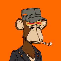 Orang Ape #277 🧡