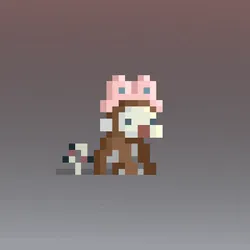 504