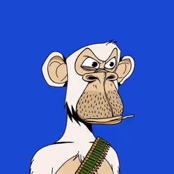 ApesOnApe #370