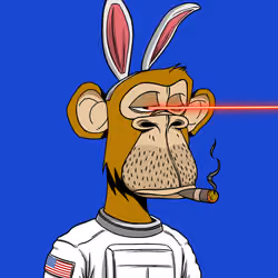 ApesOnApe #2503