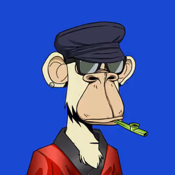 ApesOnApe #893