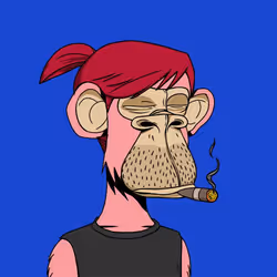 ApesOnApe #8776