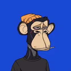 ApesOnApe #2868