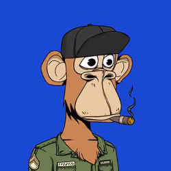 ApesOnApe #526