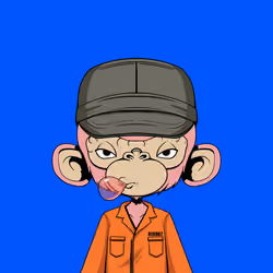 Timmy #2841