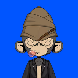 Timmy #486