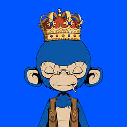 Timmy #491