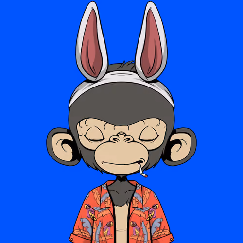 Timmy #7373