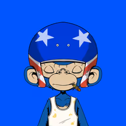 Timmy #1548