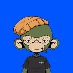 Timmy #1200