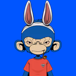 Timmy #879