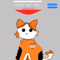 APE KAT #69