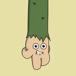 1455