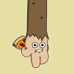 806