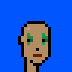 Punk #8639