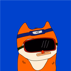 538