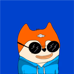 504