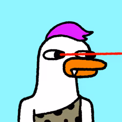 55