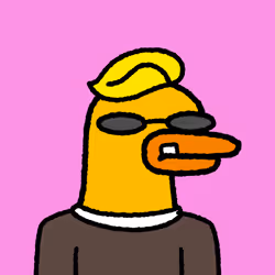 80