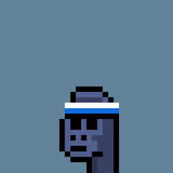 Kongs #362