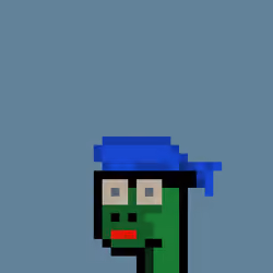 Kongs #2496