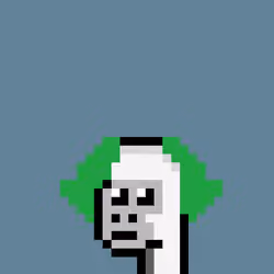 Kongs #378