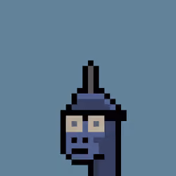 Kongs #496