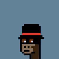Kongs #341