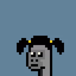 Kongs #363