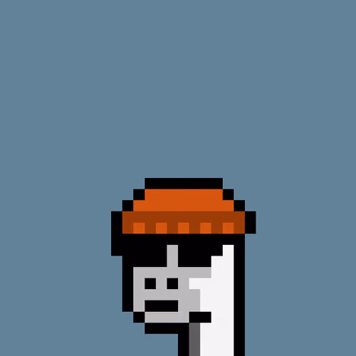 Kongs #2285