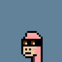 Kongs #290