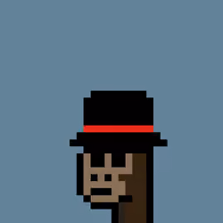 Kongs #2388