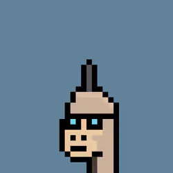 Kongs #1810