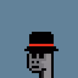 Kongs #343