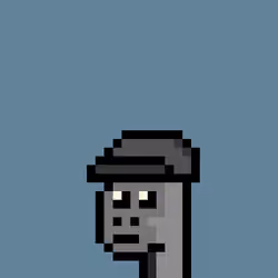 Kongs #255