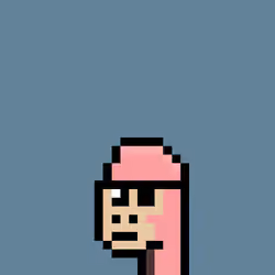 Kongs #375