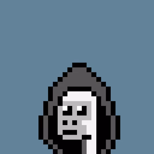 Kongs #1578