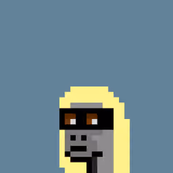 Kongs #308