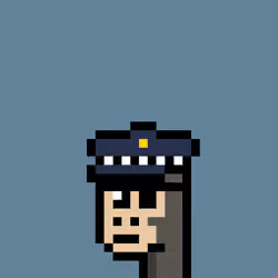 Kongs #332