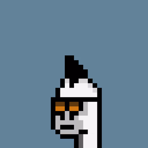 Kongs #2305