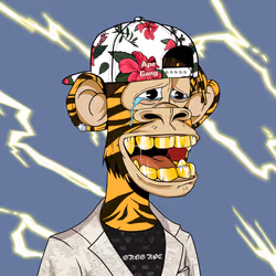 41