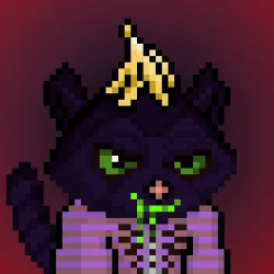 Raccies On Ape #679