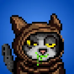Raccies On Ape #493