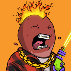 2698