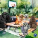 Dawgs on Ape #433