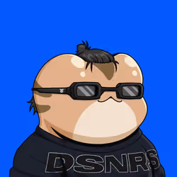 DSNR #3115